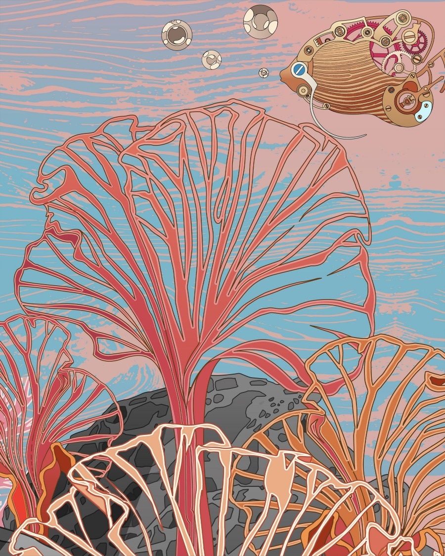 展示珊瑚礁的水下繪畫