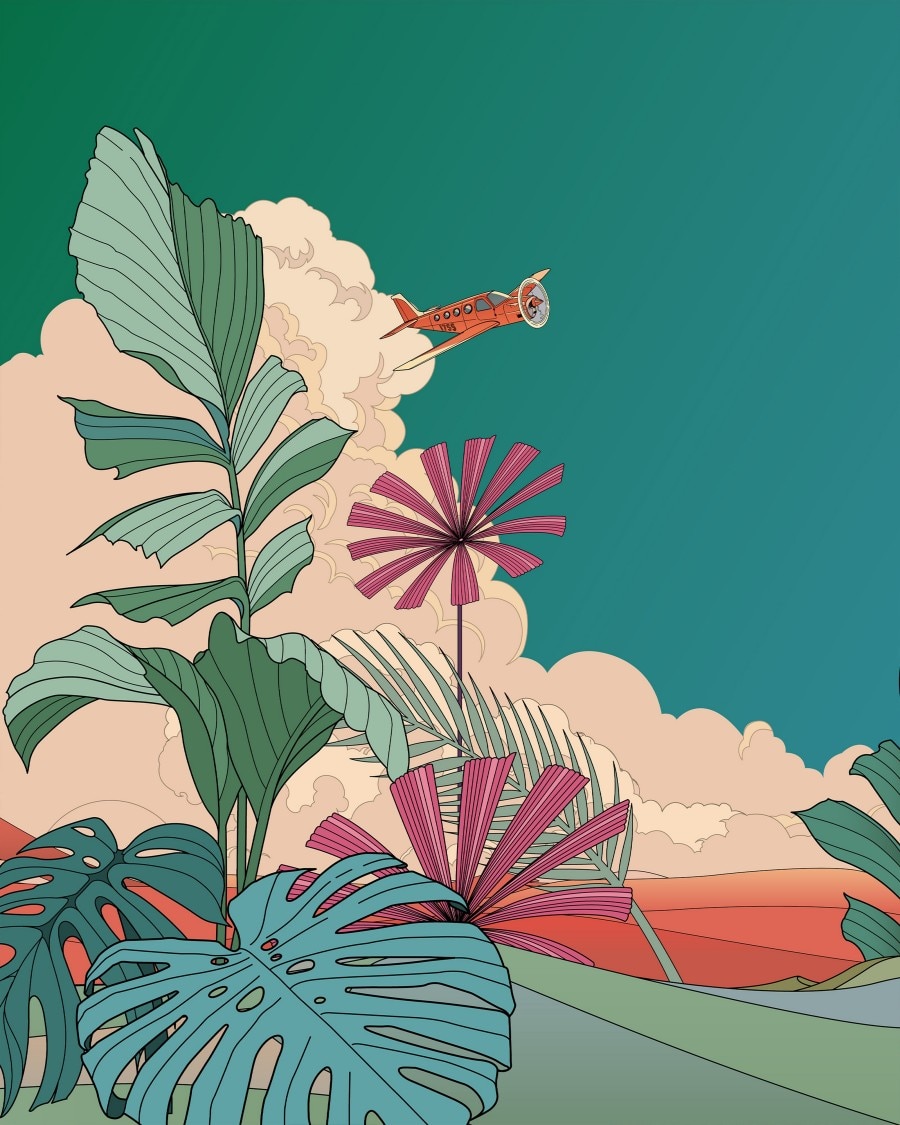 放大植物，背景是紅色飛機