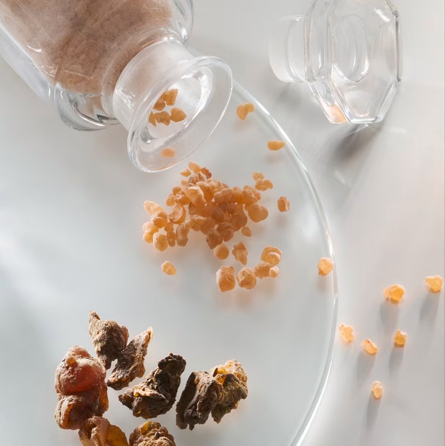 The finest spices on the plate
